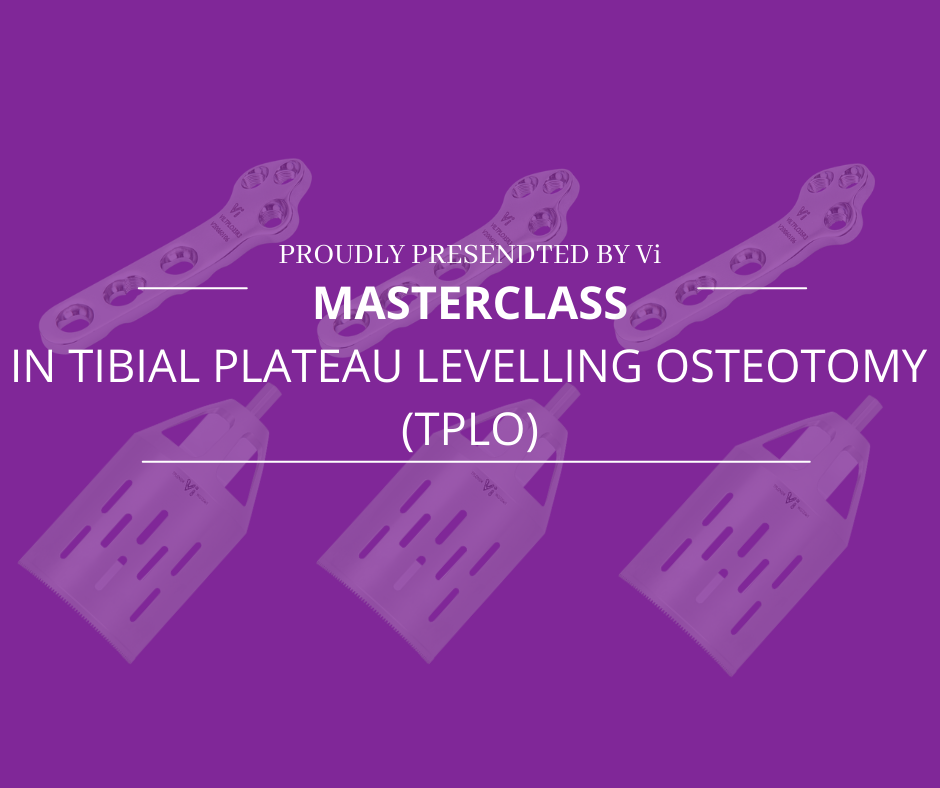 Vi Masterclass in Tibial Plateau Levelling Osteotomy (TPLO) 1 • Provet Vi Australia